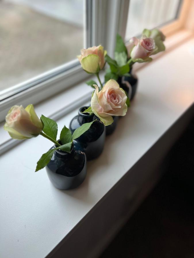 Appartamento Hyggeligt Lille Anneks Taet Pa Ribe Esterno foto